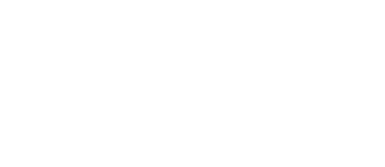 Film Commission Graz Logo